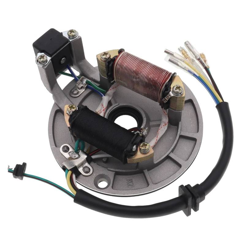 JLJLJ 2 Spule Magneto Stator Platte Rotor for 50cc 70cc 90cc 110cc 125cc Motorrad Pit Dirt Bike ATV Quad von JLJLJ
