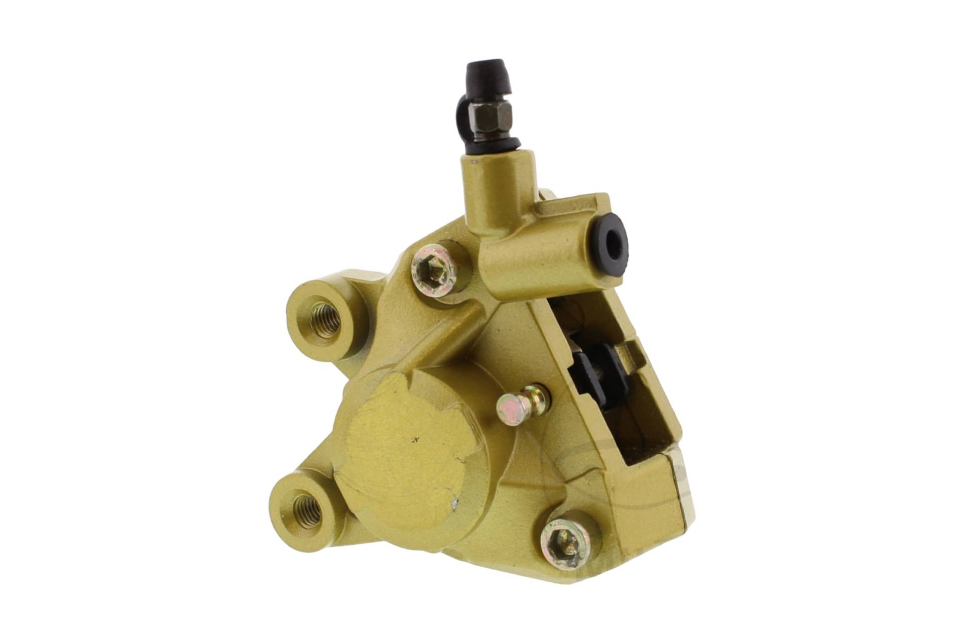 JMP Frein Gold JMP Frein Gold von JMP