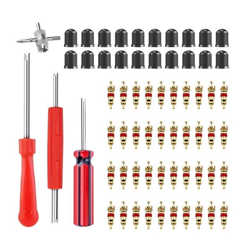 JNNJ Ventil Reparatur-Werkzeuge, Reifenventilentferner Ventil Reparatur, Mit Doppel Und Einzelkopf Ventilkern Ventilschlüssel Autoventil Werkzeugkasten Für Auto Motorrad von JNNJ