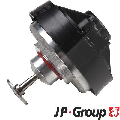 Jp Group AGR-Ventil [Hersteller-Nr. 1219900800] für Chevrolet, Opel, Vauxhall von JP GROUP