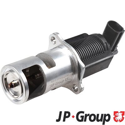 Jp Group AGR-Ventil [Hersteller-Nr. 4319900200] für Dacia, Nissan, Opel, Renault, Suzuki, Vauxhall von JP GROUP