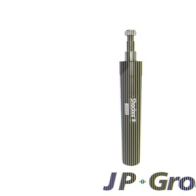 Jp Group Stossdämpfer vorne Öldruck beidseitig [Hersteller-Nr. 1142100800] für Audi von JP GROUP