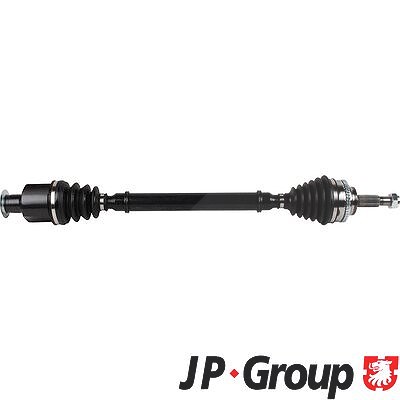 Jp Group Antriebswelle [Hersteller-Nr. 4343100800] für Renault von JP GROUP