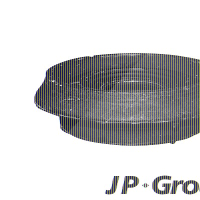 Jp Group Federbeinstützlager [Hersteller-Nr. 4342300200] für Renault von JP GROUP