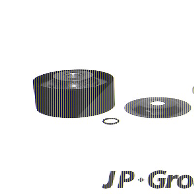 Jp Group Spannrolle, Keilrippenriemen [Hersteller-Nr. 1118305800] für Audi, Porsche, VW von JP GROUP