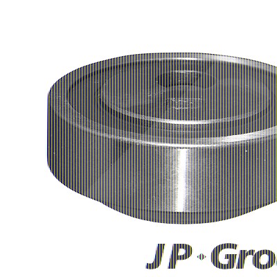Jp Group Spannrolle, Zahnriemen [Hersteller-Nr. 4112200100] für Citroën, Fiat, Lancia, Peugeot von JP GROUP