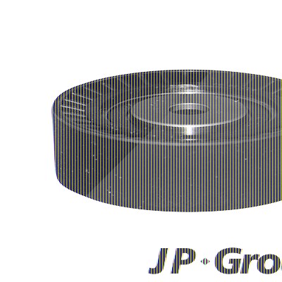 Jp Group Spannrolle Keilrippenriemen [Hersteller-Nr. 1418301100] für BMW, Skoda von JP GROUP