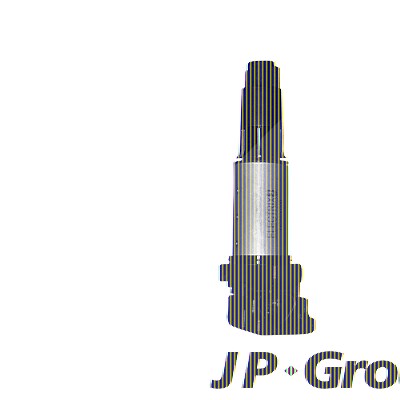 Jp Group Zündspule [Hersteller-Nr. 1491600200] für BMW, Citroën, Mini, Peugeot von JP GROUP