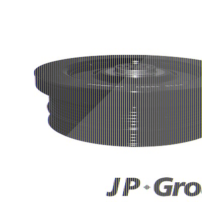 Jp Group Riemenscheibe, Kurbelwelle [Hersteller-Nr. 1418301400] für BMW von JP GROUP