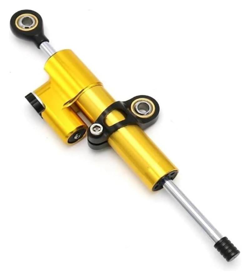 Einstellbarer Lenkungsdämpfer Für F800GS F800 GS 800 2012 2013 2014 2015 2016 Motorrad Lenkungsdämpfer Stabilisator Halterung Montage Kit(2255) von JSRVQKMS