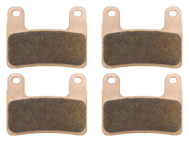 Scheiben Bremsbeläge Für B&MW S1000R S1000RR S1000XR R1250GS TE Für Rallye R1250RT SE LE S1000 R RR XR Motorrad Bremsbeläge Vorne(2 Pairs Front) von JSRVQKMS