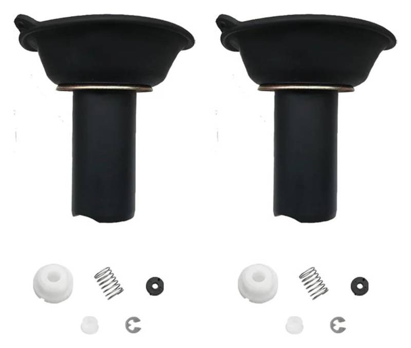 Vergaser Reparatursatz Für HYOSUNG GV125 GT125 GT125R Motorrad Vergaser Schwimmermembran Assy Wiederaufbau Teile Carb Ersatz(Set 6) von JSRVQKMS