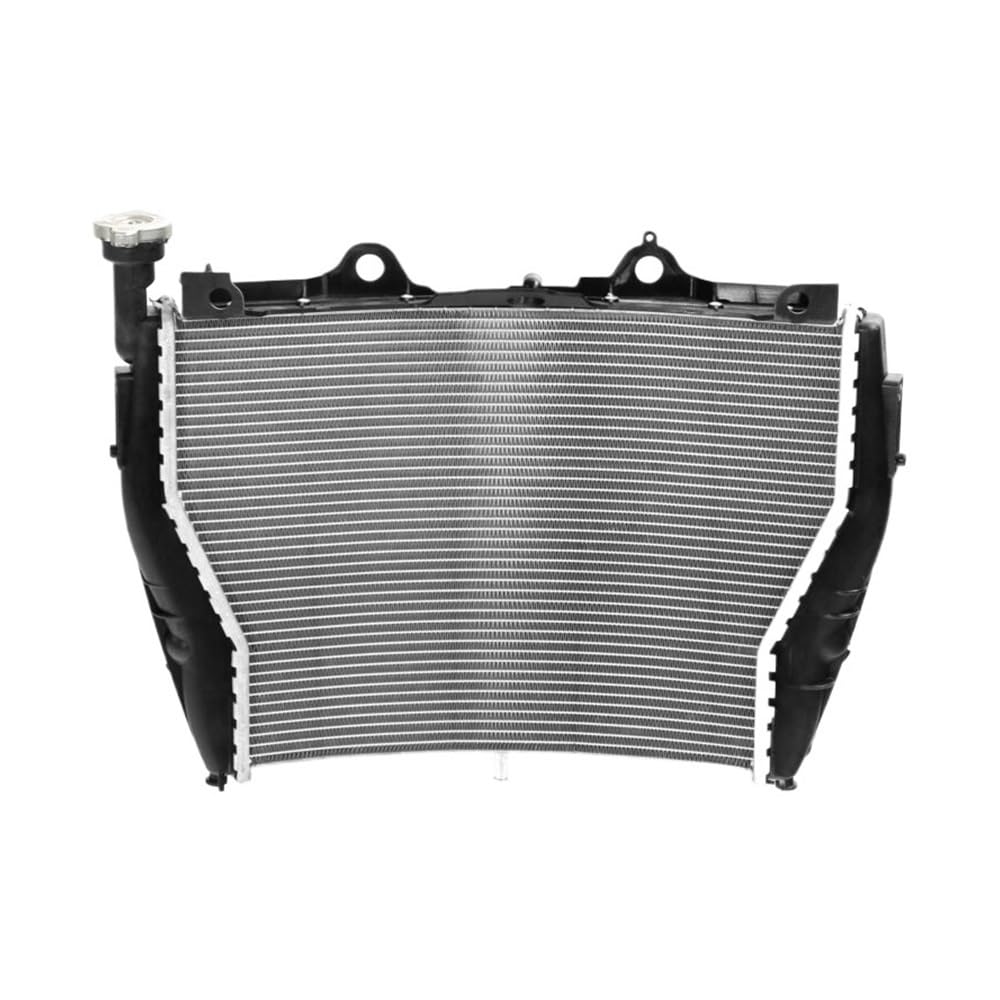 Kühlerschutz Kühlergitter Motorrad Wasser Kühler Kühler Kühlung Für S1000R 2017-2020 S1000XR 2015-2019 Kühlerschutz Kühlergitter Motorrad Wasser Kühler Kühler Kühlung Für S1000R 2017-2020 S1000XR 2015-2019 von JSTVCUI