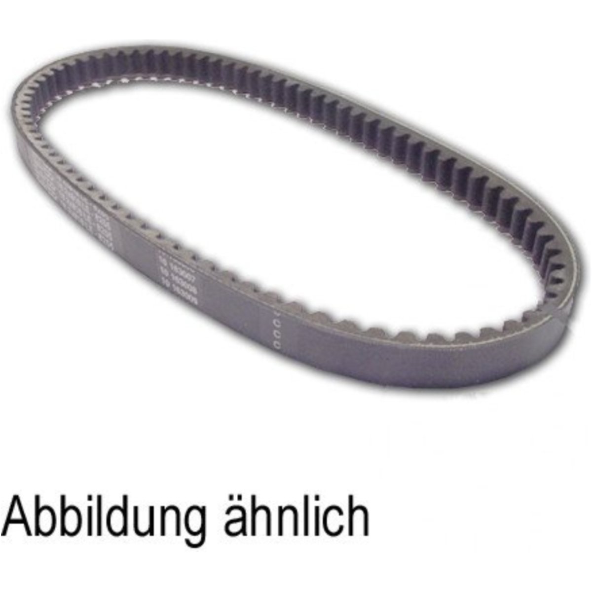 Jt jtb2402 keilr 22.1x847 belt von JT