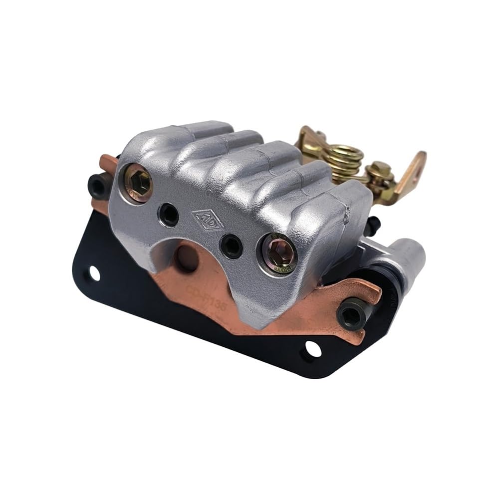 Bremssattel hinten passend for ODES 800 1000 X2 X4 10106010140 10106010150(Rear Left) von JWRMZX