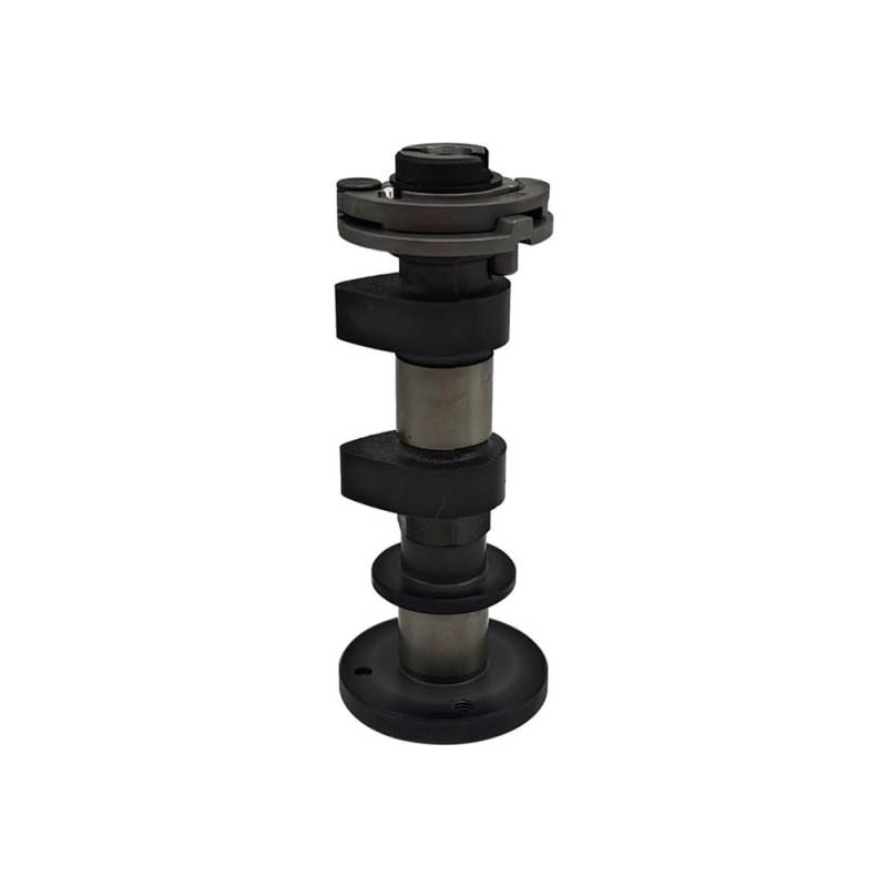 NOCKENWELLE MONTAGE Fit for AT6 OEM F01A40230001 F01A40230003 ATV UTV Teile von JWRMZX