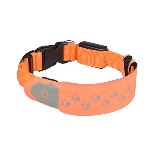 JYCRA LED Leuchtendes Hund Halsband, verstellbar Haustier Glow Halsband mit Klettverschluss Design für Hund sichtbar zu machen, Safe (5 Farben) von JYCRA