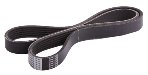 Japanparts DV-6PK1030 Keilrippenriemen von Japanparts