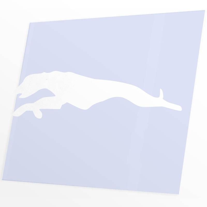 JINTORA - Autoaufkleber Tuning - Greyhound Run - 149x40mm - Auto Aufkleber - Bus - Fenster - Heckscheibe - Camper - wetterfest - Outdoor Sticker - Auto Deko - LKW - Tuning Selbstklebend - weiß von JINTORA