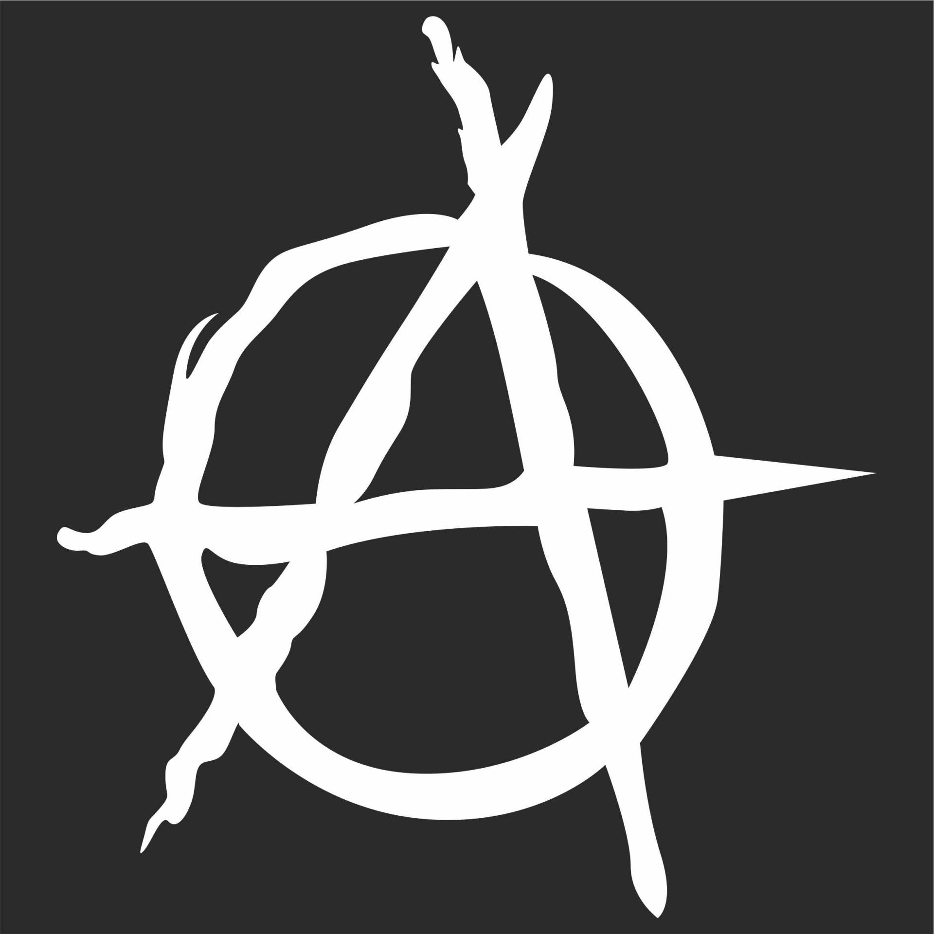 Jintora Aufkleber für Auto - Autoaufkleber - JDM - Die Cut - Anarchie - 108x99 mm - JDM - Die Cut - Bus - Fenster - Heckscheibe - Laptop - LKW - Tuning - weiß Jintora Aufkleber für Auto - Autoaufkleber - JDM - Die Cut - Anarchie - 108x99 mm - JDM - Die Cut - Bus - Fenster - Heckscheibe - Laptop - LKW - Tuning - weiß von Jintora