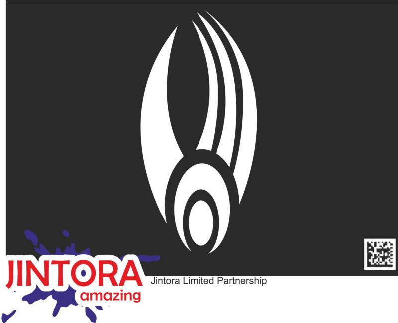 Jintora Aufkleber für Auto - Autoaufkleber - JDM - Die Cut - Borg Symbol - 207x99 mm - JDM - Die Cut - Bus - Fenster - Heckscheibe - Laptop - LKW - Tuning - weiß von Jintora