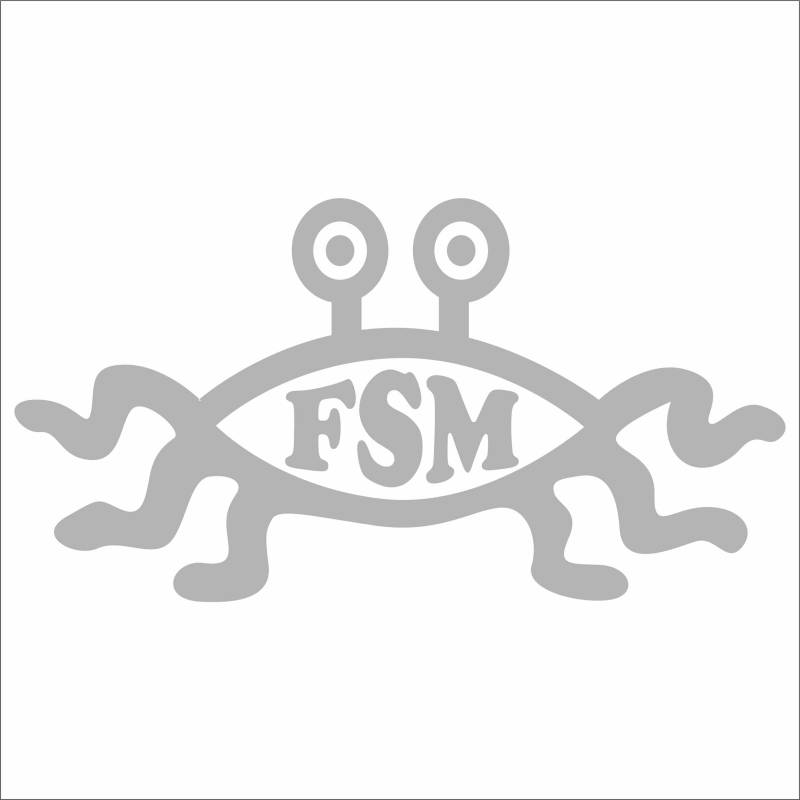 Jintora - Autoaufkleber Tuning - Auto Aufkleber - FSM - 189x99 mm - Auto Aufkleber - Bus - Fenster - Heckscheibe - Camper - wetterfest - Outdoor Sticker Auto Deko LKW - Tuning Selbstklebend - Silber von Jintora