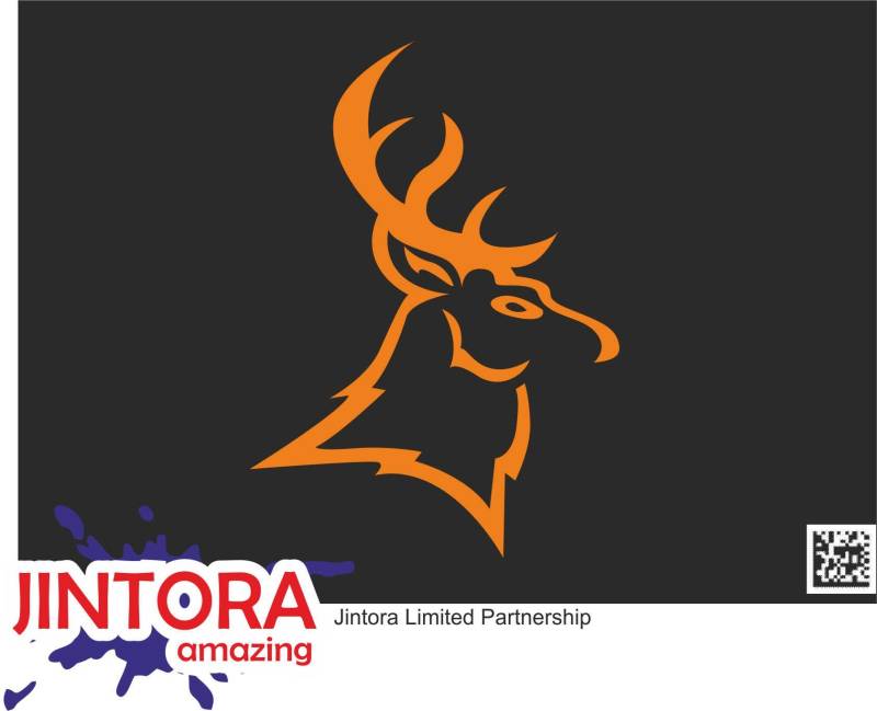 Jintora - Autoaufkleber Tuning - Auto Aufkleber - Hirsch - 138x99 mm - Bus - Fenster - Heckscheibe - Camper - wetterfest - Outdoor Sticker Auto Deko LKW - Tuning Selbstklebend - orange von Jintora