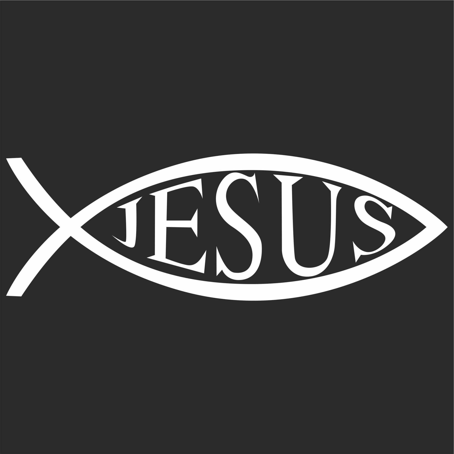 Jintora Aufkleber für Auto - Autoaufkleber - JDM - Die Cut - Jesus Fisch - 210x70 mm - JDM - Die Cut - Bus - Fenster - Heckscheibe - Laptop - LKW - Tuning - weiß von Jintora