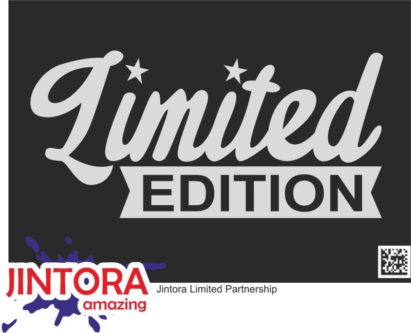 Jintora - Autoaufkleber Tuning - Auto Aufkleber - Limited Edition - 207x99 mm - Auto Sticker Bus Fenster Heckscheibe Camper wetterfest Outdoor Sticker Auto Deko LKW Tuning Selbstklebend - Silber von Jintora