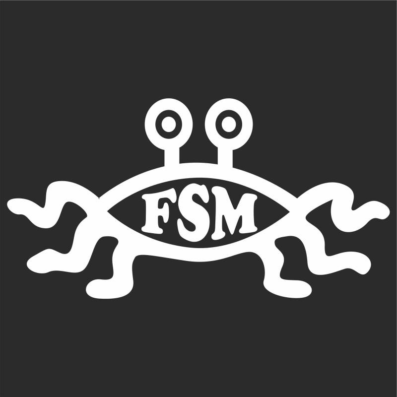 JINTORA - Autoaufkleber Tuning - Auto Aufkleber - FSM - 189x99 mm - Auto Aufkleber - Bus - Fenster - Heckscheibe - Camper - wetterfest - Outdoor Sticker - Auto Deko - LKW - Tuning Selbstklebend - weiß von Jintora