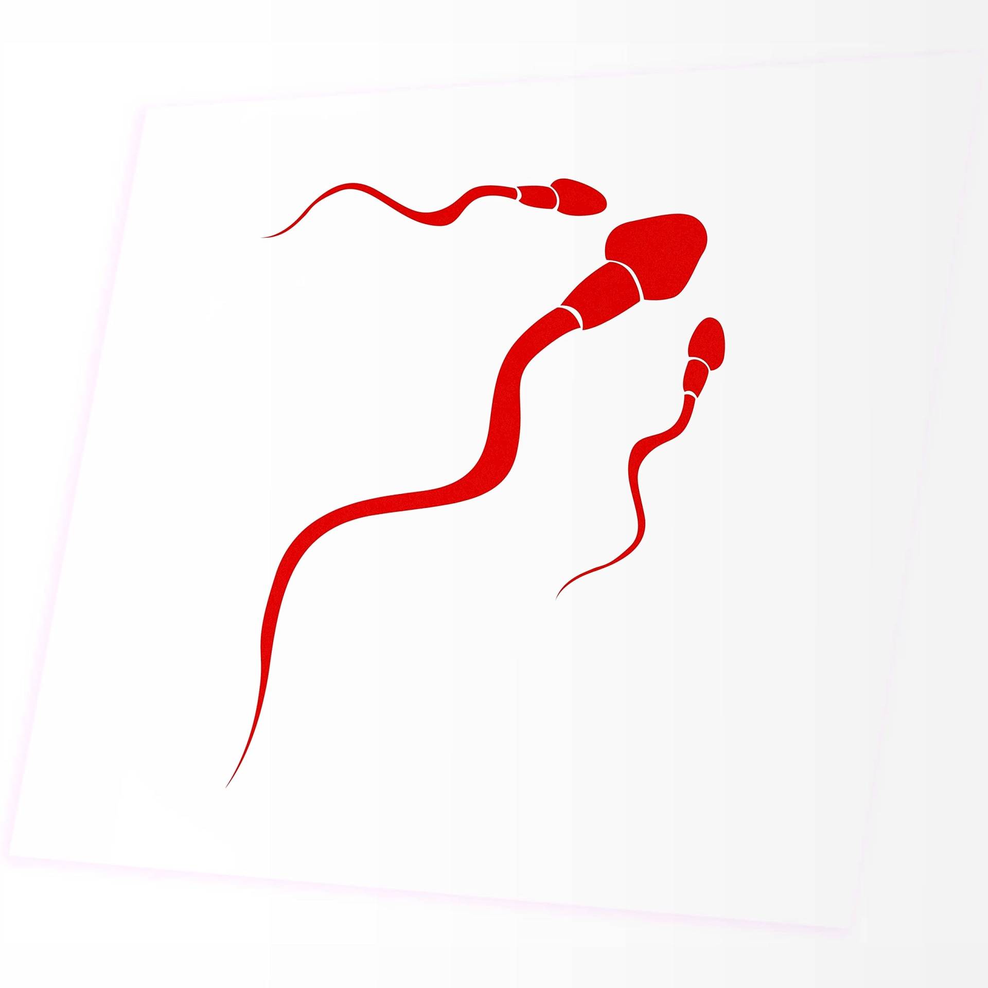 Jintora Aufkleber für Auto - Autoaufkleber - Spermien auf dem Weg - 130x20mm - JDM - Die Cut - Bus - Fenster - Heckscheibe - Laptop - LKW - Tuning - rot von Jintora