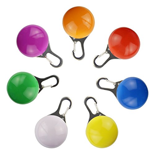 Pet LED Sicherheit Licht, highvisibility Wasserfeste Spotlit Wechselrahmen Pet Hundehalsband LED Sicherheit Licht, Luminous Anhänger für Outdoor Sicherheit (7 Stück Multicolor) von Jowneel