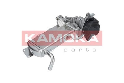 Kamoka AGR-Modul [Hersteller-Nr. 19069] für VW von KAMOKA