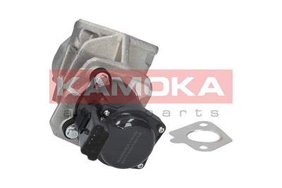 Kamoka AGR-Ventil [Hersteller-Nr. 19028] für Citroën, Fiat, Ford, Mazda, Mini, Peugeot, Suzuki, Volvo von KAMOKA