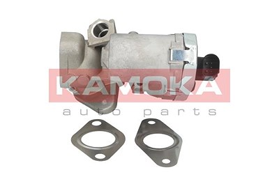 Kamoka AGR-Ventil [Hersteller-Nr. 19030] für Citroën, Fiat, Ford, Land Rover, Peugeot von KAMOKA