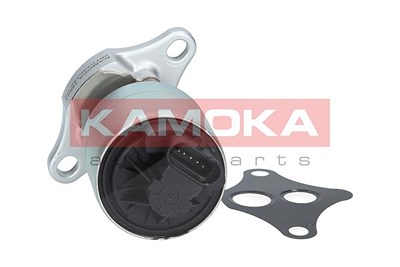 Kamoka AGR-Ventil [Hersteller-Nr. 19001] für Alfa Romeo, BMW, Dodge, Fiat, Opel, Peugeot, Skoda, Vauxhall, Volvo, VW von KAMOKA