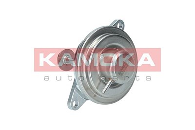 Kamoka AGR-Ventil [Hersteller-Nr. 19012] für Chevrolet, Opel, Vauxhall von KAMOKA