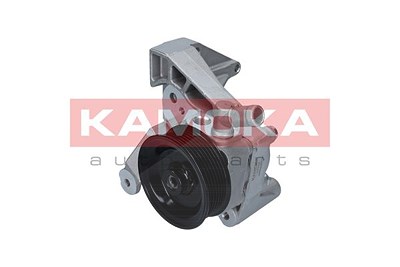 Kamoka Hydraulikpumpe, Lenkung [Hersteller-Nr. PP086] für Fiat, Hyundai, Iveco von KAMOKA