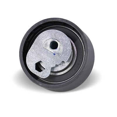 Kamoka Spannrolle, Zahnriemen [Hersteller-Nr. R0259] für Audi, Dodge, Fiat, Ford Usa, Iveco, Kia, Lancia, Mercedes-Benz, Subaru, VW von KAMOKA
