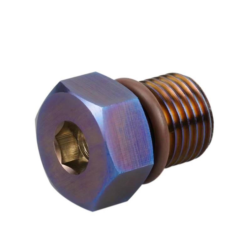 KANGBOZ Kompatibel Mit Road Glide Für Fltr/Fltrx/Fltrxs/Fltrxse/Fltrk/Fltru Touring Modell 1999–2021, Magnetische Ablassschraube Für Motorräder Motorrad Schraubenset(Purple) von KANGBOZ