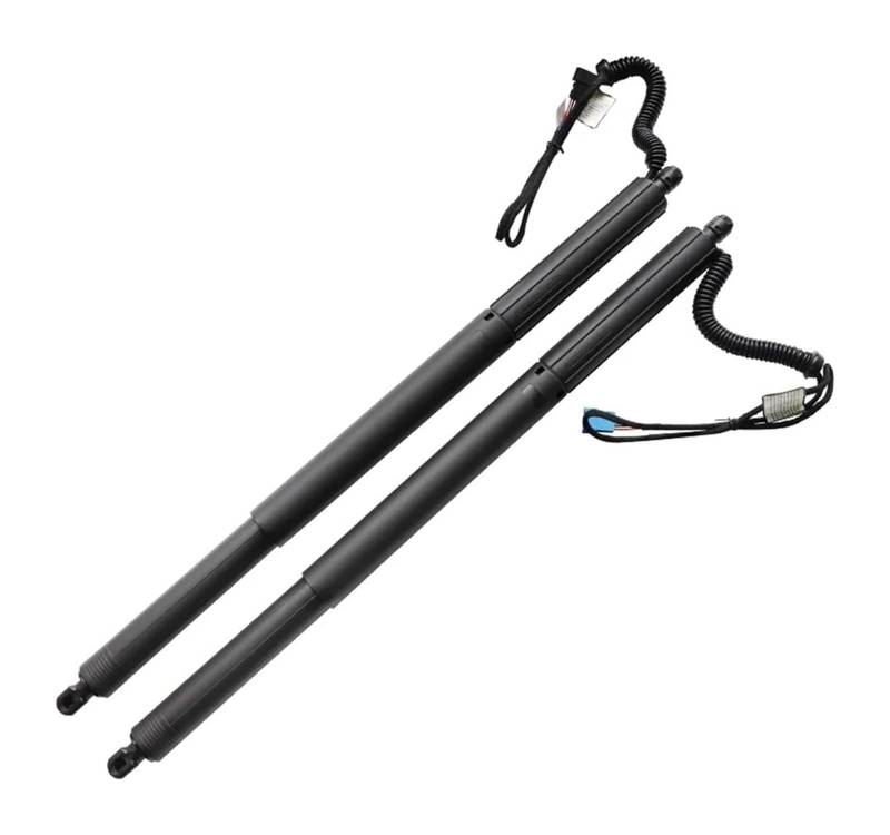 Hydraulische Federstange Für B&MW X3 F25 18d 20i 20d 28i 28d 30d 35d 2010 Paar Heckklappen-Luken-Unterstützungsöffner 51247232003 51247232004 von KBKEUBUAD