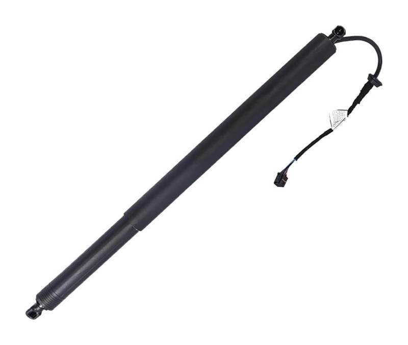 Hydraulische Federstange Für Hyundai Für Santa Fe 2019 2020 81841S1100 81831S1100 Heckklappe Power Lift Unterstützung Schock Federbeine(Right) von KBKEUBUAD