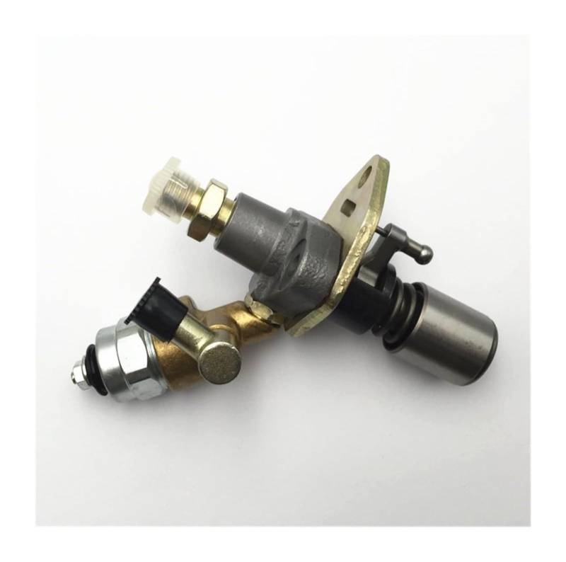 Kraftstoffpumpe Für 165F 170F 178F 186F 188F 178FA 186FA 188FA 190F 192F 186FD Elektrische Generator Ersatzteile Kraftstoff Injektoren(170f) von KBKEUBUAD