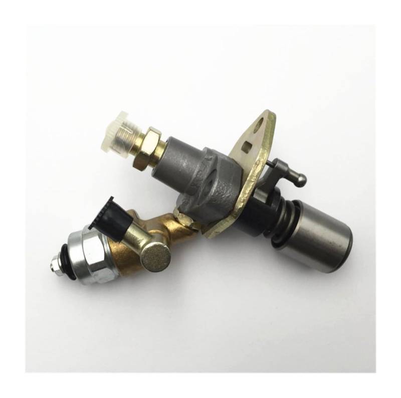 Kraftstoffpumpe Für 165F 170F 178F 186F 188F 178FA 186FA 188FA 190F 192F 186FD Kraftstoffeinspritzpumpe Elektrische Generator Ersatzteile(188f) von KBKEUBUAD