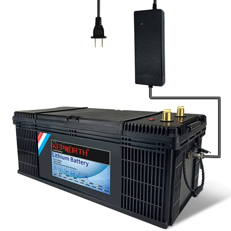 24V 100Ah LiFePO4 Batterie Lithium Eisen Phosphat Batterie Bis zu 7000 Deep Cycle mit BMS für Wohnmobile RV Solar Marine Golfwagen, Notstrom, Serien- oder Parallelbetrieb von KEPWORTH