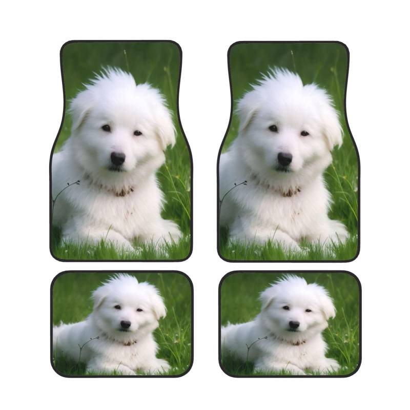 Bichon On The Grass Auto Fußmatten Set von 4 Stück, Universal Automotive Front Rear Floor Fußmatten - Wasserdicht Anti-Rutsch-Neopren Leicht zu Reinigen für PKW LKW SUV von KHDKLXOHZ