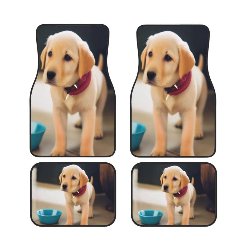 Hund Auto Fußmatten Set 4 Stück Universal Automotive Vorne Hinten Fußmatten - Wasserdicht Anti-Rutsch-Neopren Leicht zu Reinigen für PKW LKW SUV von KHDKLXOHZ