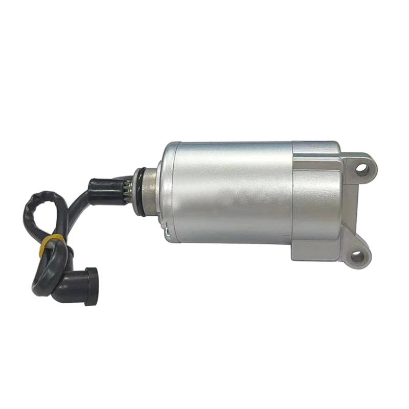 Motorrad Starter Motor 11 Zähne for Racing ZS166FMM CB250D-G BSE T2 T4 BSE Teile von KHPGQIAS