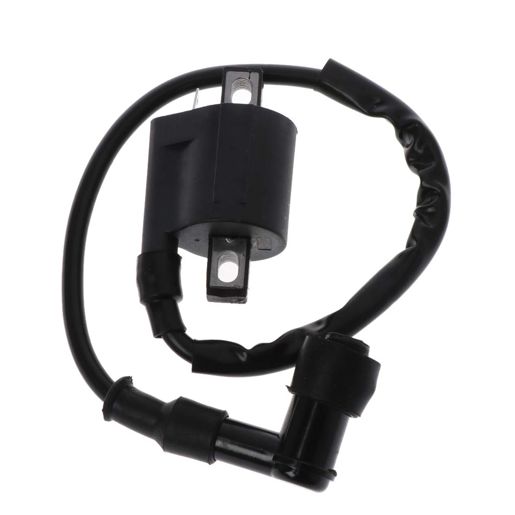 12 V Zündspulen Ersatzteile Für 50cc 150cc 200c 250cc ATV Scooter Moped Gokarts Dirt Bike Motor 12 V Zündspulen Ersatzteile Für 50cc 150cc 200c 250cc ATV Scooter Moped Gokarts Dirt Bike Motor von KHZen