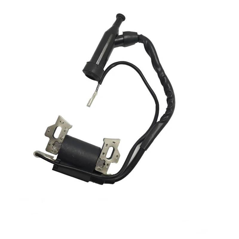 Anlasserrelais Hochleistungs-Vergaser-Zündspulen-Rückstoßstarter-Set Für GX120 GX140 GX 160 GX168 GX200 5 PS 55 PS 65 PS Motor Gartenteile Antrieb(Ignition Coil) von KIFWGIH